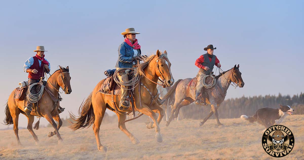Survivalists on horses