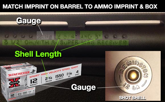 12 gauge shells matched to barrel