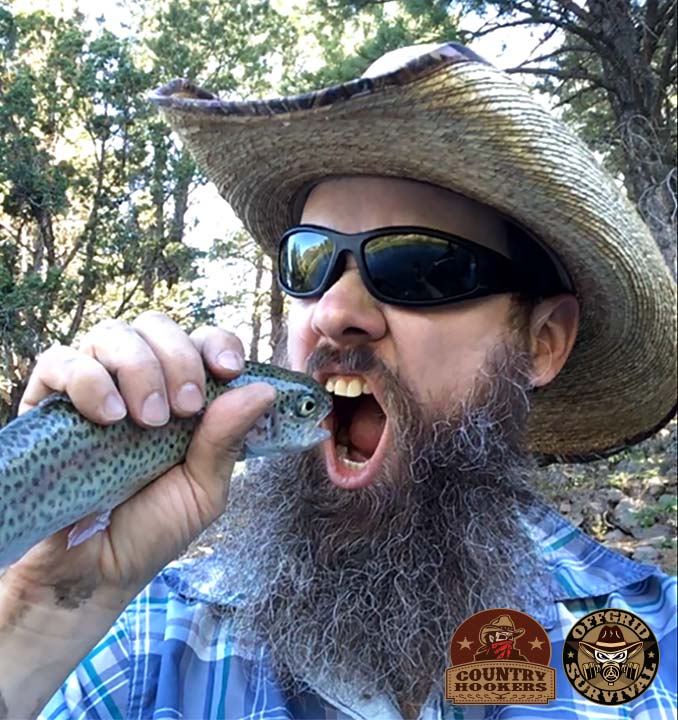 Fly Fishing for Trout 