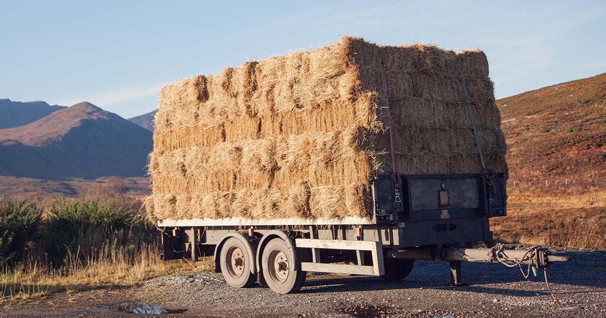 straw bales