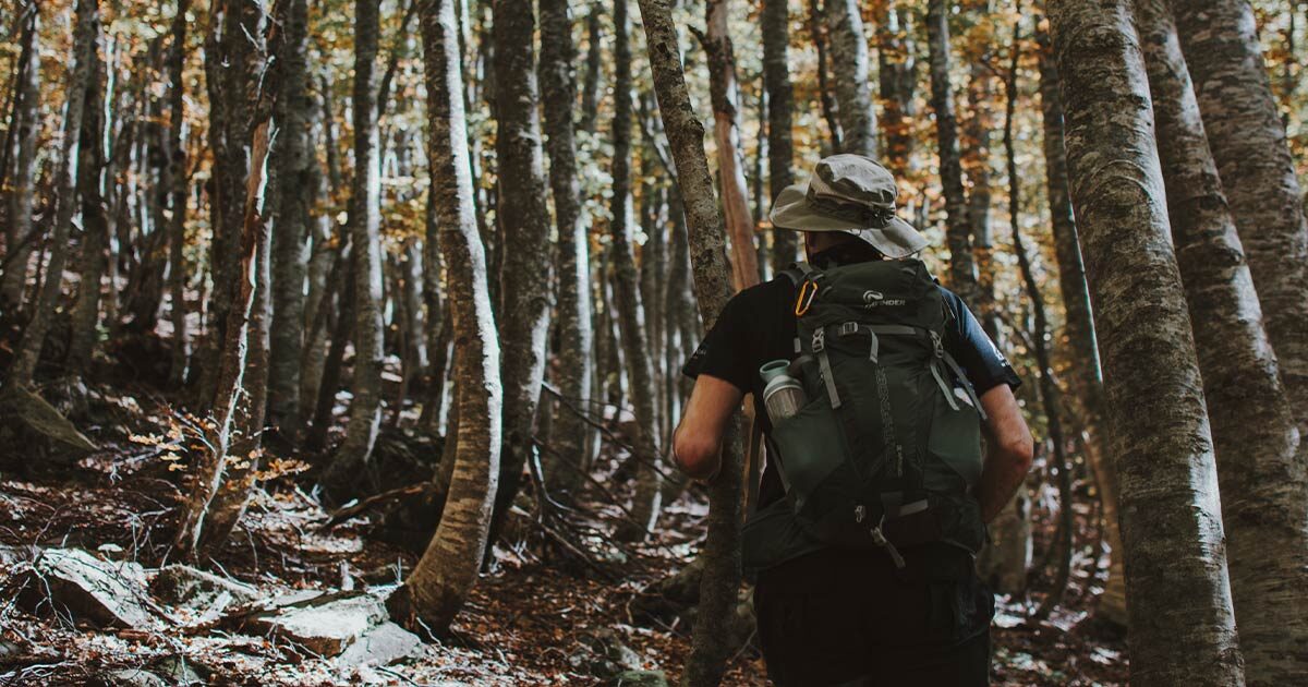 Staying healthy hiking in the forest