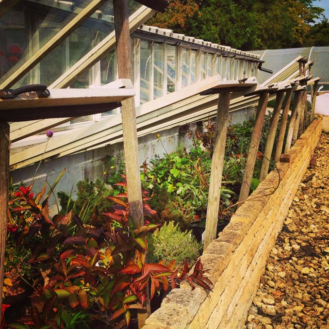 A large cold frame garden wall