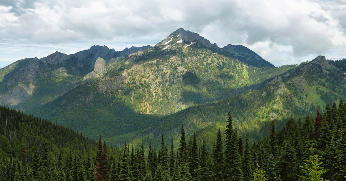 Olympic National Park 