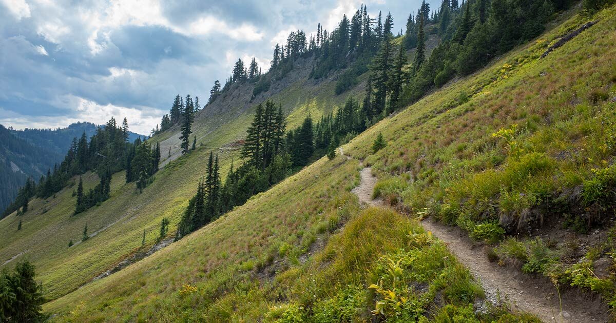 Pacific Crest Trail in Gifford Pinchot National Forest, Washington
